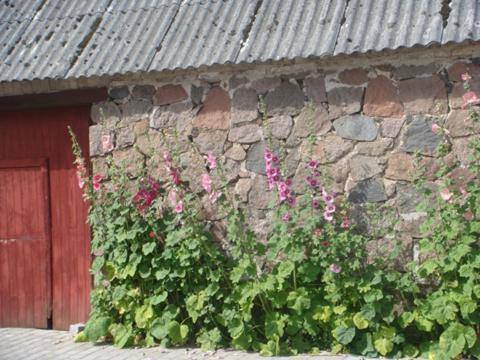 Lyngvej 16 B&B Skanderborg Exterior photo